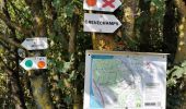 Excursión Bici de montaña Crévéchamps - Crevechamp-Benney-Menil - Photo 6