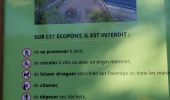 Tour Wandern Fuveau - Pont Eco de Fuveau - Photo 2