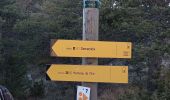Trail Walking Soleilhas - Le Crémon depuis le Col St Barnabé  - Photo 12