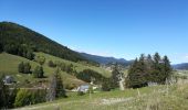 Excursión Senderismo Autrans-Méaudre en Vercors - méaudre 2019 - Photo 2