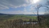 Tour Wandern Houyet - rando custinne 8 /03/2021 - Photo 8