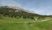 Tocht Stappen Châtillon-en-Diois - Vallon de Combeau - Photo 19