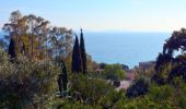 Tour Wandern Rayol-Canadel-sur-Mer - Wikiloc - Le rayon canadel - Opidum de monjean - Photo 5