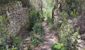 Trail Walking Hérépian - vallée des arômes  - Photo 5
