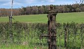 Tour Wandern Aywaille - ninglinspo . chefna . bois bablette - Photo 11