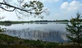 Trail On foot Plothen - Naturlehrpfad Dreba-Plothen Erweiterung - Photo 6