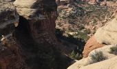 Trail Walking Unknown - 2024 Canyonlands The Needles - Photo 17