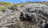 Excursión Senderismo Cilaos - le bloc piton des neiges - Photo 8