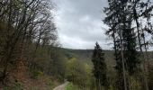 Randonnée Marche Heimbach - Schwammenauel - Rurberg - Photo 2