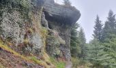 Trail Walking Saint-Étienne-lès-Remiremont - Le sentier des Pourdingues - Photo 10