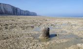 Randonnée Marche Ault - Normandie 2022 : Ault - Mers les bains - Photo 3