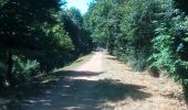 Trail Walking Préserville - c2pa_lenclas_280622 - Photo 4