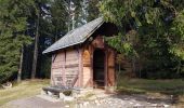 Tour Wandern St. Märgen - Cascade Zweribach depuis Sankt Märgen - Photo 7