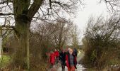 Tocht Stappen Rochefort - Lavaux-Sainte-Anne PVL Nov 2023 - Photo 10