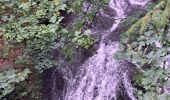 Trail Walking Xonrupt-Longemer - Tour des lacs de Longemer et Retournemer et cascades - Photo 3