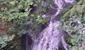 Randonnée Marche Xonrupt-Longemer - Tour des lacs de Longemer et Retournemer et cascades - Photo 3