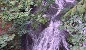 Tocht Stappen Xonrupt-Longemer - Tour des lacs de Longemer et Retournemer et cascades - Photo 3