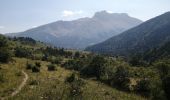 Tour Wandern Le Dévoluy - col du lauteret et col plate contier  - Photo 6