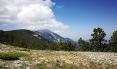 Randonnée Marche Brantes - Brantes-Ventoux-Frache-Brantes-Bis - Photo 8