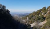 Tocht Stappen Bédoin - Beboin la combe de Curnier - Photo 8