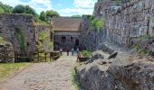 Tour Wandern Zabern - château du Haut Barr -  GR53 - Photo 2