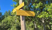 Trail Walking Moca-Croce - mont San petru - Photo 10