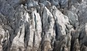 Excursión Senderismo Chamonix-Mont-Blanc - Argentieres, plan Joran,glacier,croix Lognan,les tines - Photo 3