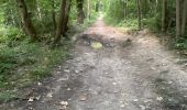 Trail Walking Bruyères-le-Châtel - R2 a Roche Turpin - Photo 9