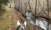 Randonnée Randonnée équestre Neufchâteau - Bois de la Fosse - Photo 8