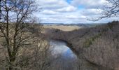 Trail Walking Houffalize - rando engreux 11-03-2023 - Photo 13