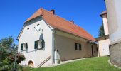 Percorso A piedi Sankt Anna am Aigen - Weinweg der Sinne - Photo 5