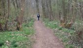 Tocht Noords wandelen Kelmis - la_calamine_05__04_2021 - Photo 19