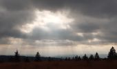 Tocht Stappen Malmedy - cascade du bayon  - rando malmedy 1 - Bambi rouge  - Photo 9