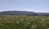 Tocht Stappen Saint-Chély-d'Aubrac - Compostelle St chely St come d'olt - Photo 3