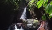 Excursión Senderismo Bouillante - Trou à Diable par la rivière Bourceau - Photo 5