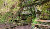 Randonnée Marche Lemberg - Lemberg - cascade des Ondines - sentiers des grottes et des étangs - Photo 7