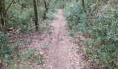 Trail Walking Cabrières - 30 gardon bois des coufines - Photo 10