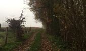 Randonnée Marche Braine-le-Comte - 80.968 Arrêts Verts : Hennuyères - Braine le Comte - Photo 1