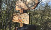 Percorso Marcia Courmes - Puy Naouri - Photo 7