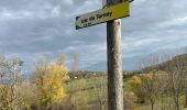 Trail  Brossainc - Brossainc lac du Ternay  - Photo 4