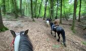 Trail Horseback riding Bastogne - Livarchamps - Surre (LU) 29 août 2021 - Photo 3