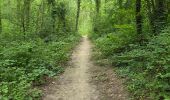 Trail Walking Soisy-sur-École - Soizy-sur-Ecole - La Padole - Photo 10