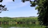 Tocht Stappen Esch-sur-Sûre - Promenade au lac de la Haute-Sûre   - Photo 6