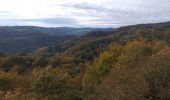 Tocht Stappen Montjoie-le-Château - montjoie le château  - Photo 18