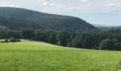 Trail Walking Manhay - Les Deux-Rys - Photo 2