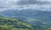 Trail Walking Murat-le-Quaire - Puy Loup- Banne d’Ordanche-Gacherie - Photo 7