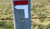 Percorso Corsa a piedi Béhen - Les Alleux - Photo 6