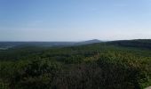 Tocht Te voet Gladenbach - Wanderweg E10 / Koppe-Turm - Photo 7