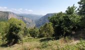 Tocht Stappen Castellane - Chasteuil Rougon - Photo 2