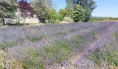 Tour Wandern Valvignères - Valvignères -Boucle des Caveaux 7km - Photo 1